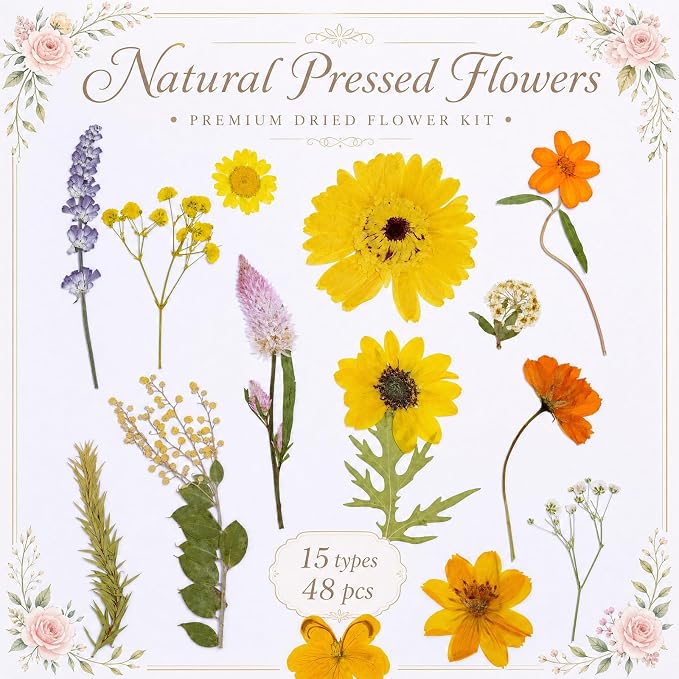 15 Types Fall Dried Pressed Flowers - Image 2