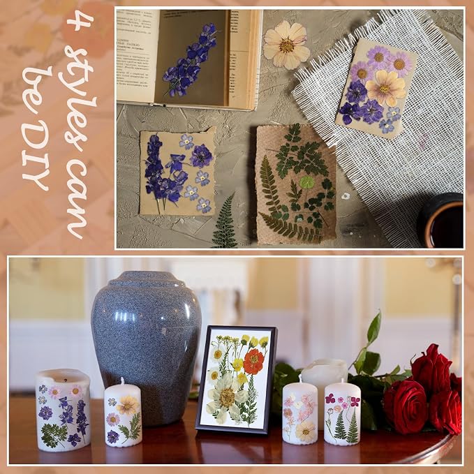 Nuanchu Dried Flower for Crafts Resin Pressed Flowers Bulk Real Dried - Image 5