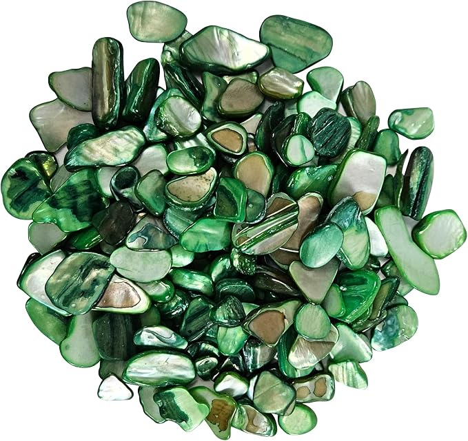 Natural Crushed Shells Chips Irregular Mother of Pearl Seashell Fragments Sea by EDSRDUS