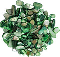 Natural Crushed Shells Chips Irregular Mother of Pearl Seashell Fragments Sea by EDSRDUS