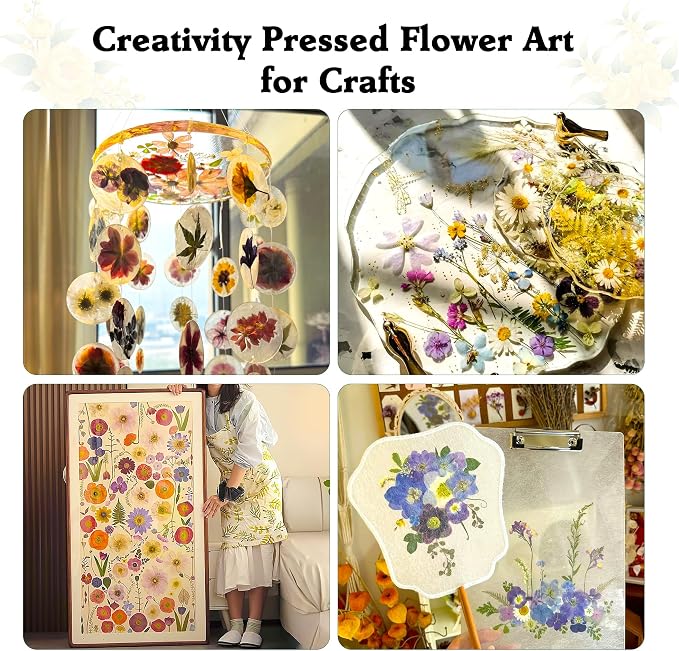 Aboofx Extra Large Flower Press Kit - Image 5