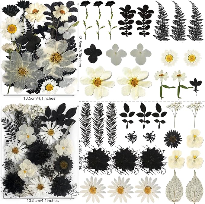 131PCS Black White Dried Pressed Flowers - Image 4