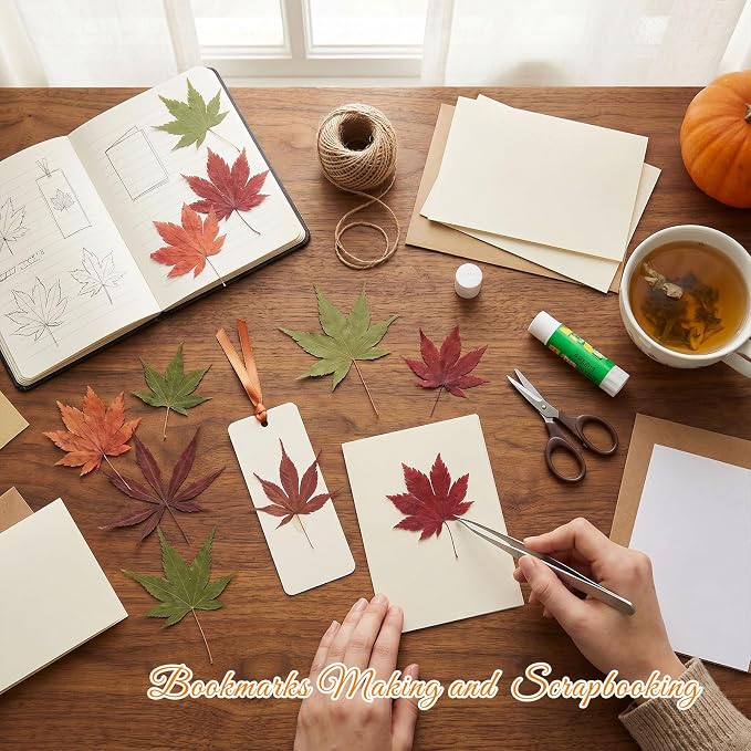 48 Pcs Dried Pressed Fall Maple Leaf - Image 5
