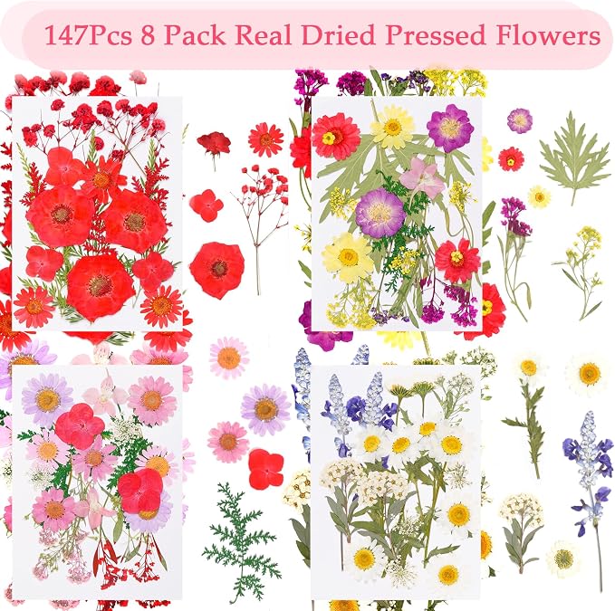228Pcs Pressed Dried Flowers - Image 2