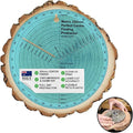 Clearly Printed 250mm Circle Center Finder Tool, Protractor, and Circle Maker Tool and Compass for Woodworking and Wood Turning. Find The Center of Timber or Dowel with Our Center Finder Ruler.
