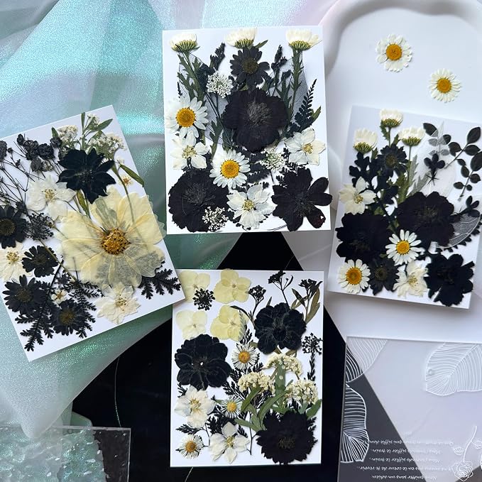 132Pcs Black Pressed Dried Flowers and Butterfly - Image 3
