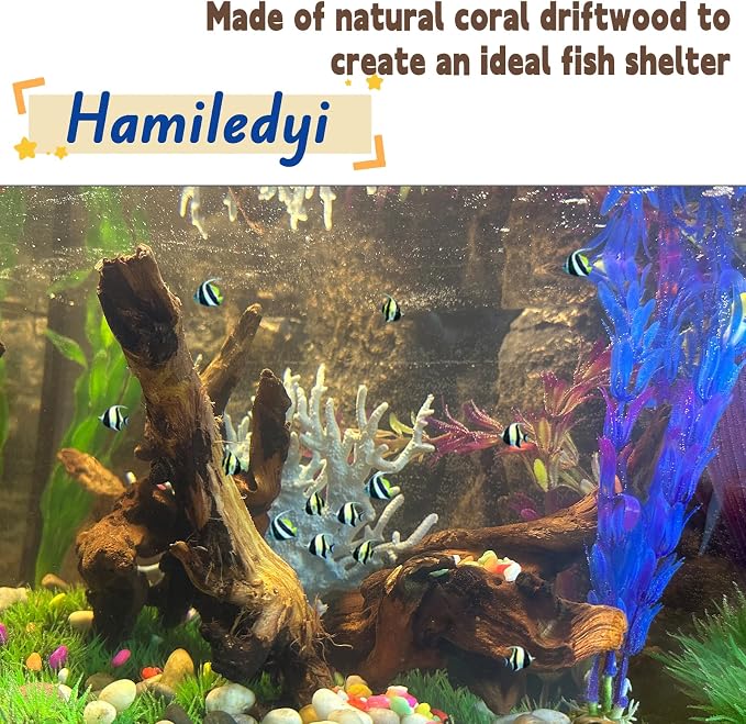 Hamiledyi 5PCS Driftwood for Aquarium Decor 3.5-7in Spider Wood Betta Fish Tank - Image 3
