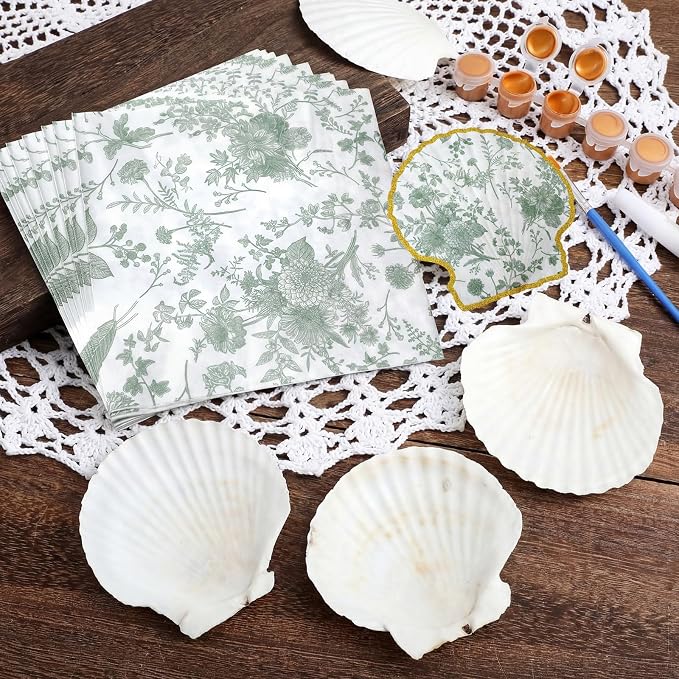 Gilprop 12 Pcs Large Scallop Shells - Image 4