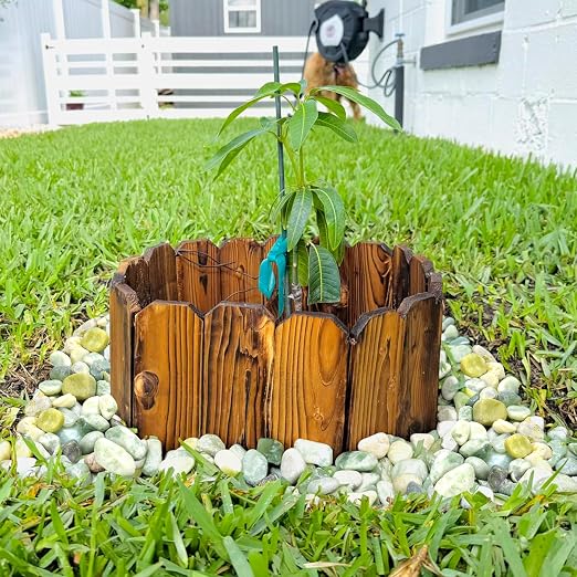 2.2 lb Jade Pebbles for Indoor Plants, 1-2 Inch Polished Decorative Pebbles for - Image 3