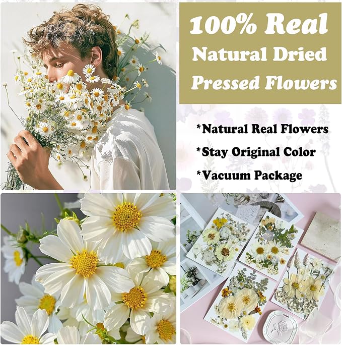 130Pcs White Pressed Dried Flowers and Butterfly - Image 2
