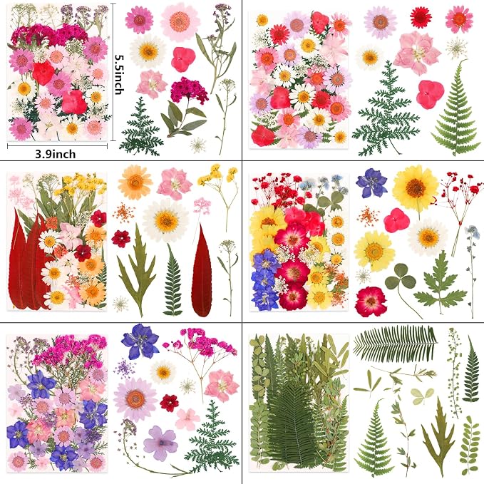 NESCCI 210 Pcs Dried Pressed Flowers - Image 2