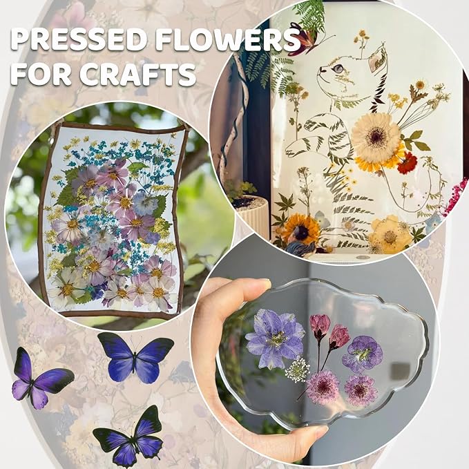 142Pcs Dried Flowers, Dried Pressed Flowers - Image 4