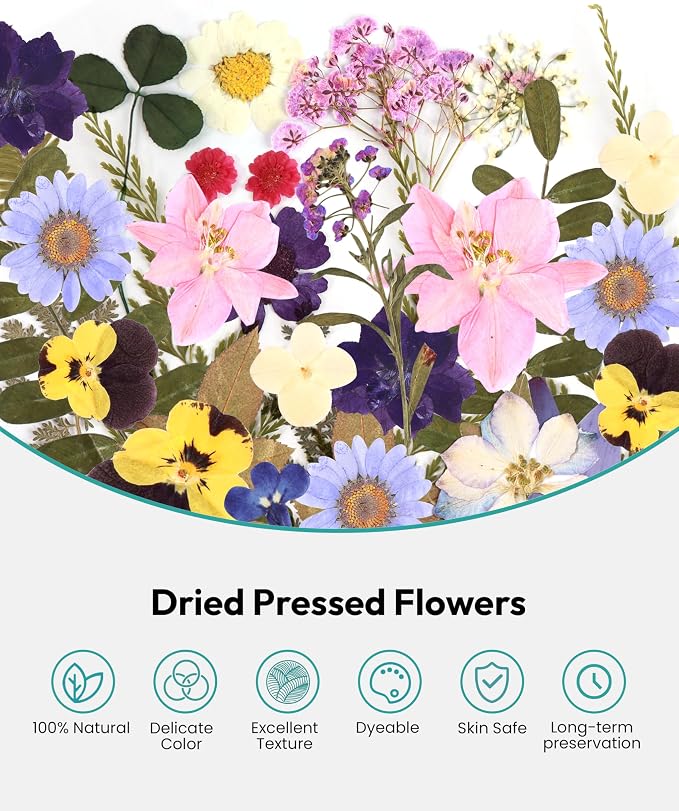 Dried Flowers, Resiners 100Pcs Pressed Flowers - Image 4