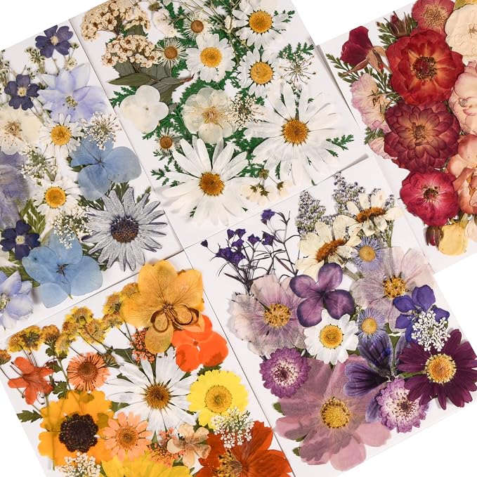 150PCS Pressed Dried Flowers Dry Leaves - Image 2