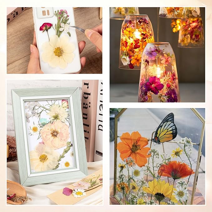 140pcs Dried Pressed Flowers Bulk, Natural Fall Pressed Dried Flowers - Image 5