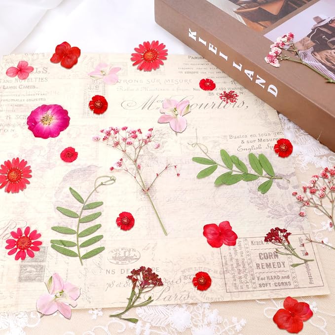 Dried Pressed Flowers Real Pressed Flowers Natural Dry Leaves Bulk Mixed - Image 5