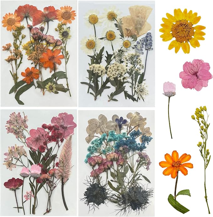 Woohome 4 Packs Real Pressed Flowers by Woohome