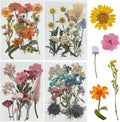 Woohome 4 Packs Real Pressed Flowers by Woohome