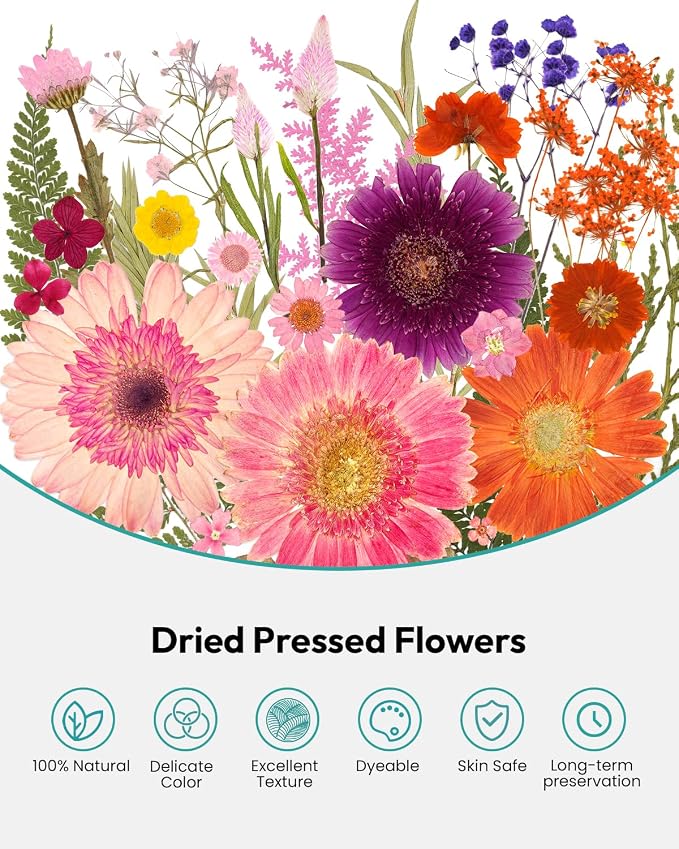 Dried Pressed Flowers, Resiners Dried Flowers - Image 6