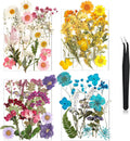 Nuanchu Pressed Flowers Bulk Dried Flower by Nuanchu