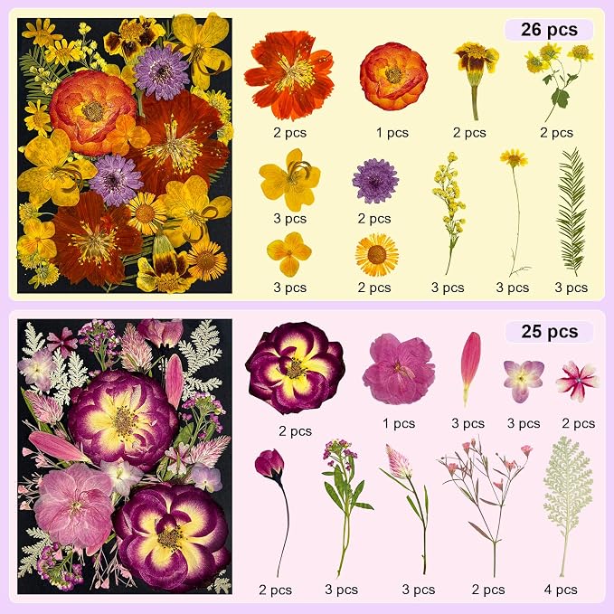 142Pcs Dried Flowers, Dried Pressed Flowers - Image 3