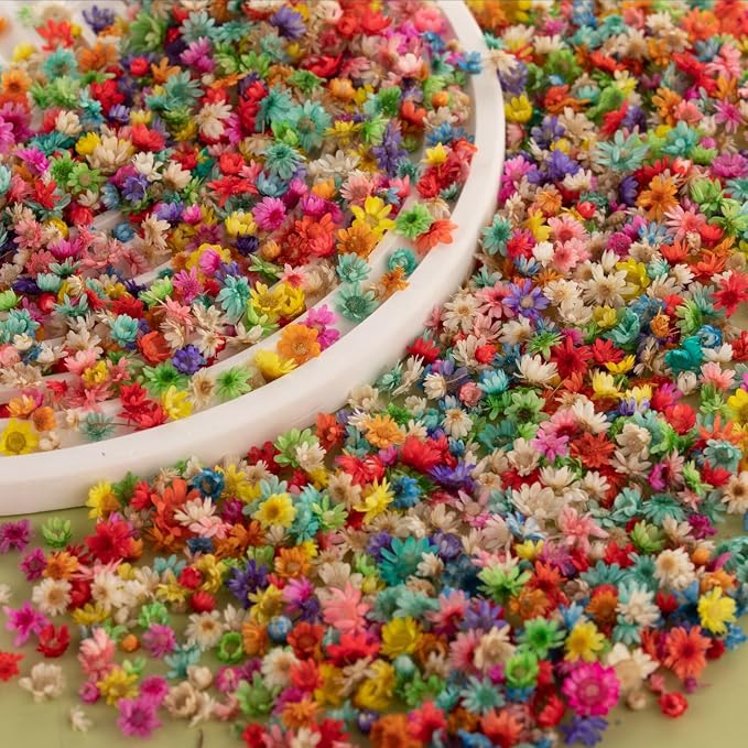 2200 PCS Bulk Tiny Dried Flowers by LGFMGWH
