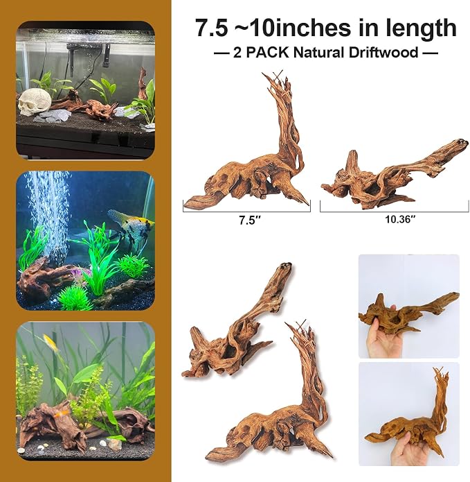 Natural Driftwood Decor for Aquarium Decorations Reptile Tank Accessories - Image 6