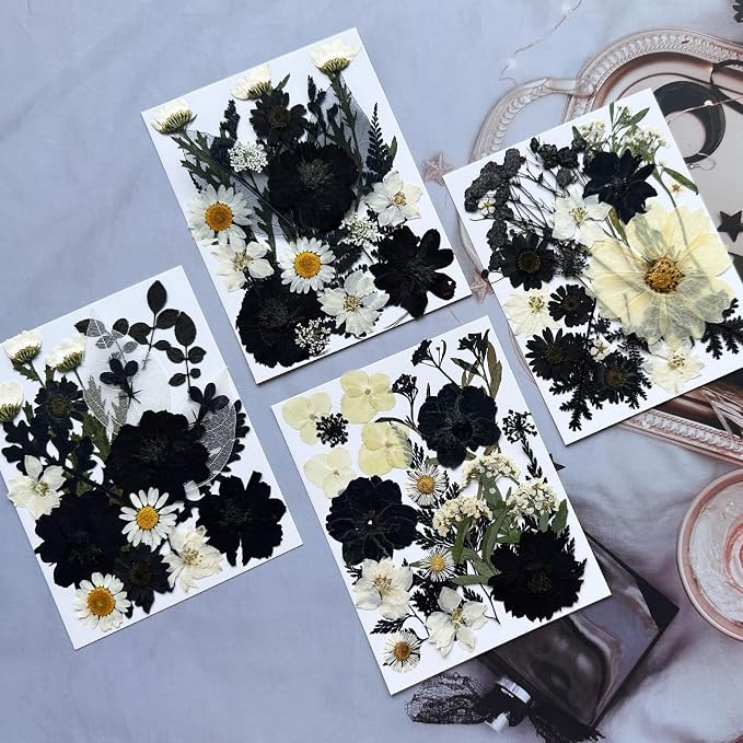 90Pcs Black Pressed Dried Flowers - Image 3