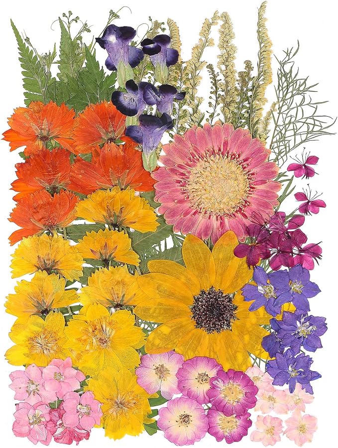 12“ Large Bulk Summer Dried Pressed Flowers by ZMRU