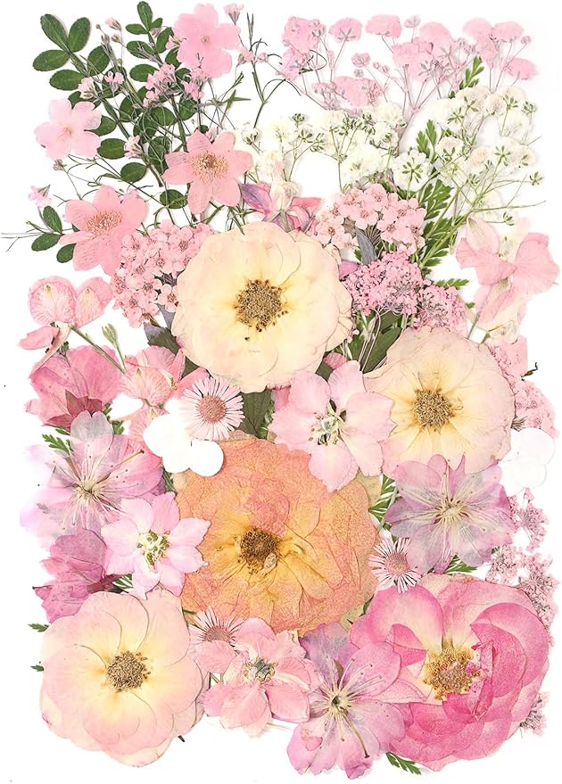 AHTONG 14 Types Pink Dried Pressed Flowers by AHTONG