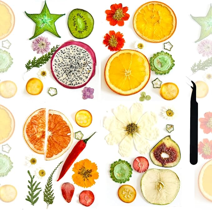 Nature Dried Pressed Fruits Flowers by ZQmino