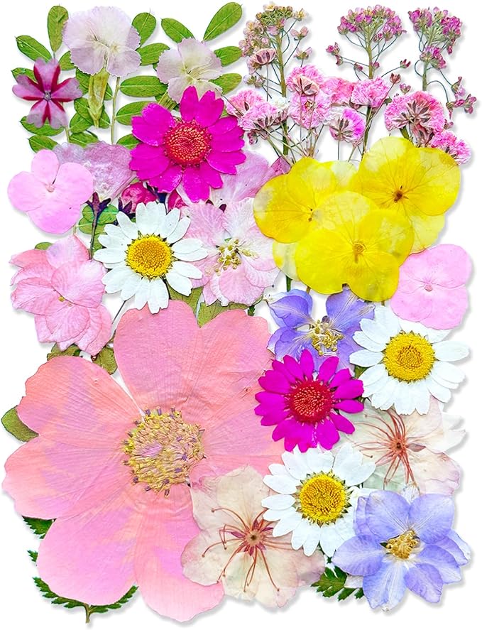 MIKIYA 33Pcs Pink Pressed Dried Flowers by MIKIYA
