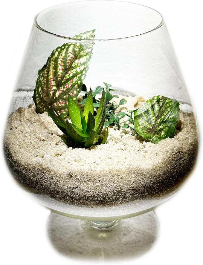 2 Pounds Natural Decorative Real Sand - Image 2