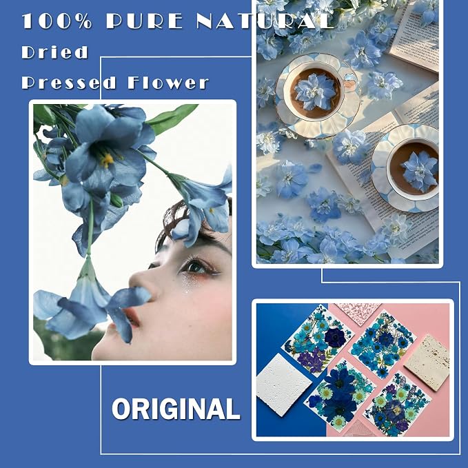 MIKIYA 94Pcs Blue Dried Pressed Flowers - Image 2