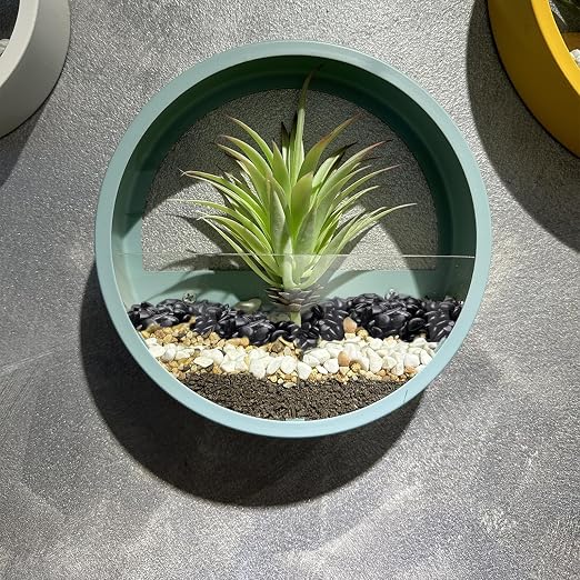 Pulovin 5 lbs Black Pebbles for Indoor Plants, 3/8" Plant Rocks for Pots Indoor - Image 7