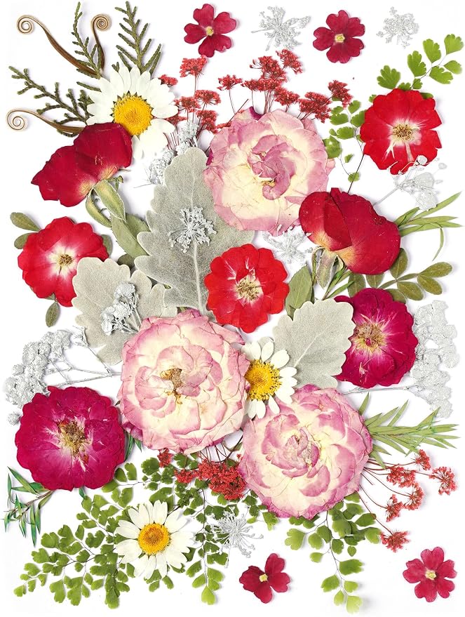 48 Pcs Mix Natural Dried Pressed Flowers - Image 2