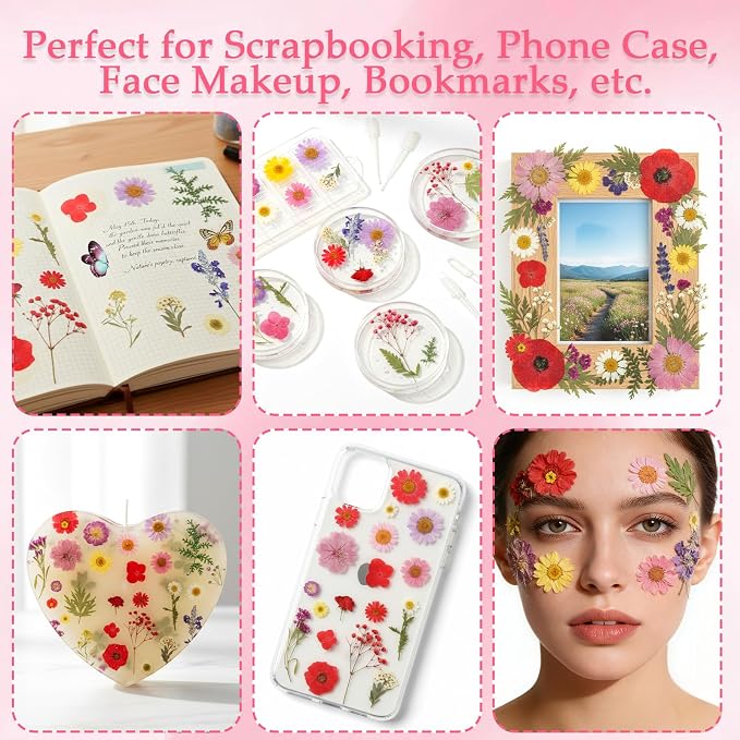 228Pcs Pressed Dried Flowers - Image 6