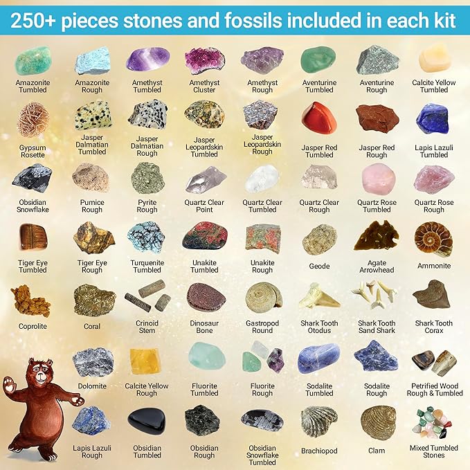 DANCING BEAR Rock, Mineral & Geodes Treasure Hunt Activity Kit Real Shark Teeth - Image 2