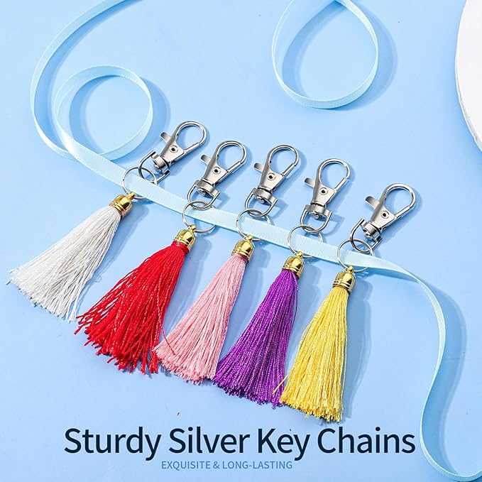 LEOBRO 100PCS Lobster Claw Clasps and Key Rings, Keychain Making Kit - Image 4