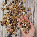 River Rocks Decorative Ornamental Vase Filler 0.5" by RoyalImports