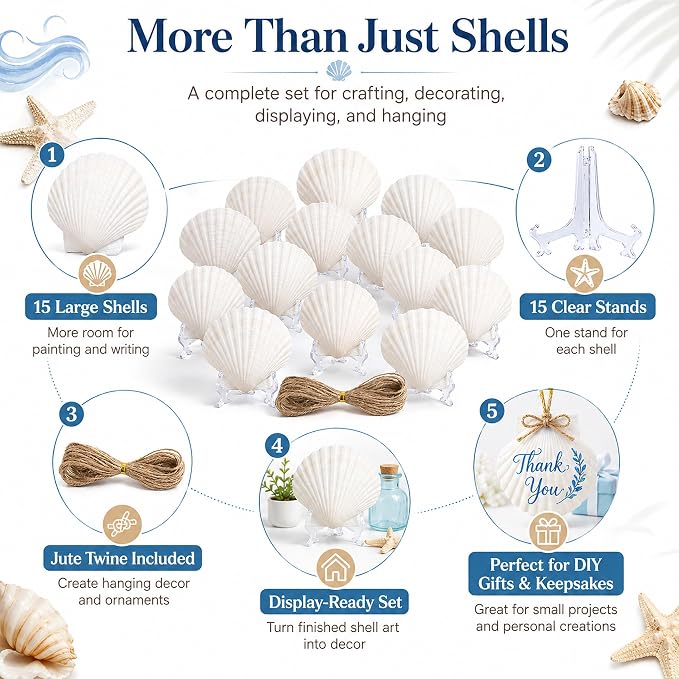 Cizavanta 15 Pack Large Scallop Shells - Image 8