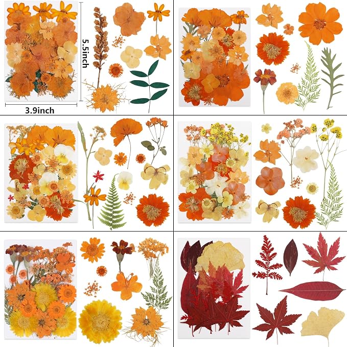 NESCCI 350 Pcs Orange Fall Dried Flowers - Image 3