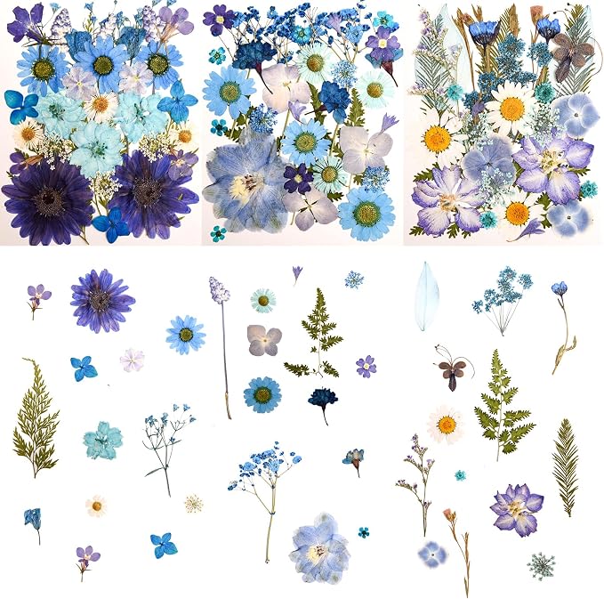 100 PCS Blue Pressed Dried Flowers and Leaves by Cokosing