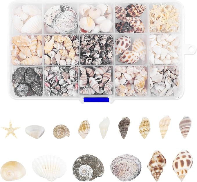 Fangoo 15 Types 800 Pcs Natural Tiny Mini Sea Shell Conch Starfish by Fangoo