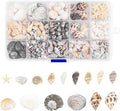 Fangoo 15 Types 800 Pcs Natural Tiny Mini Sea Shell Conch Starfish by Fangoo