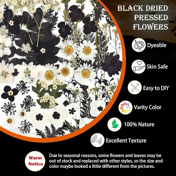 DALARAN Black Dried Pressed Flowers - Image 4