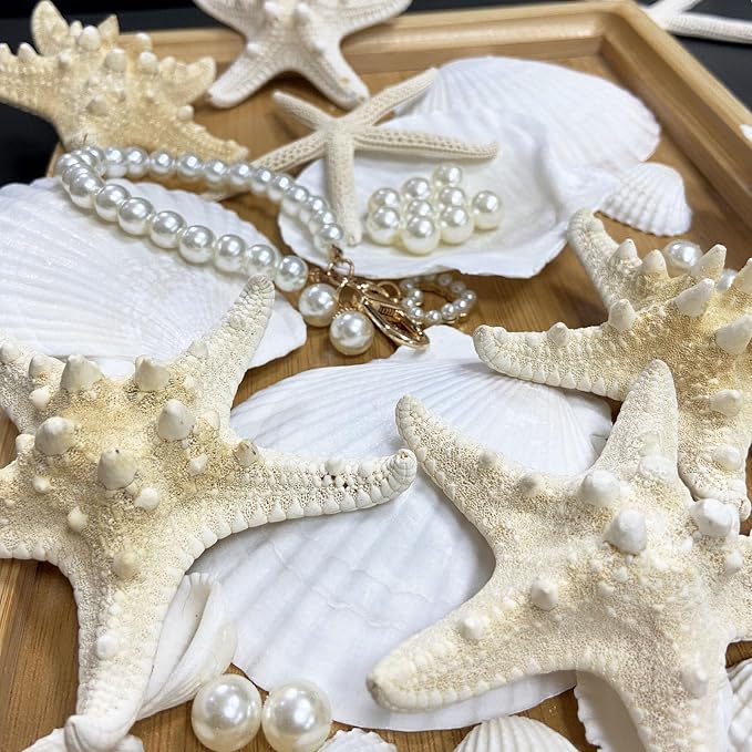 JQAQJU 16PCS Starfish and Scallop Shells - Image 5