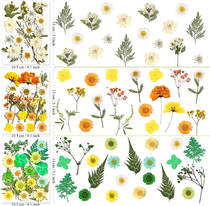 MIKIYA 182Pcs Dried Pressed Flowers - Image 5