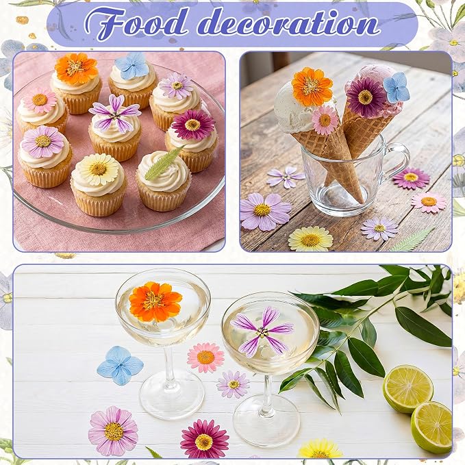 96 Pcs Natural Dried Pressed Flowers - Image 7