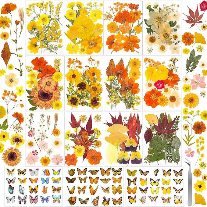 361 Pcs Pressed Dried Flowers by Evatage